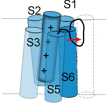 P-type inactivation