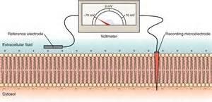 voltmeter